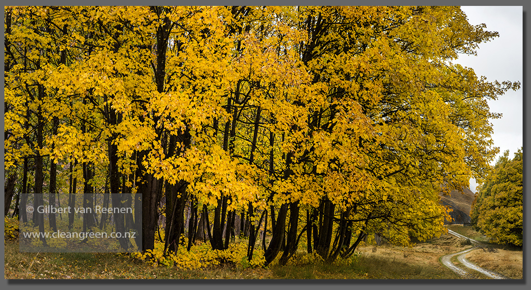 Photo Tours in central Otago